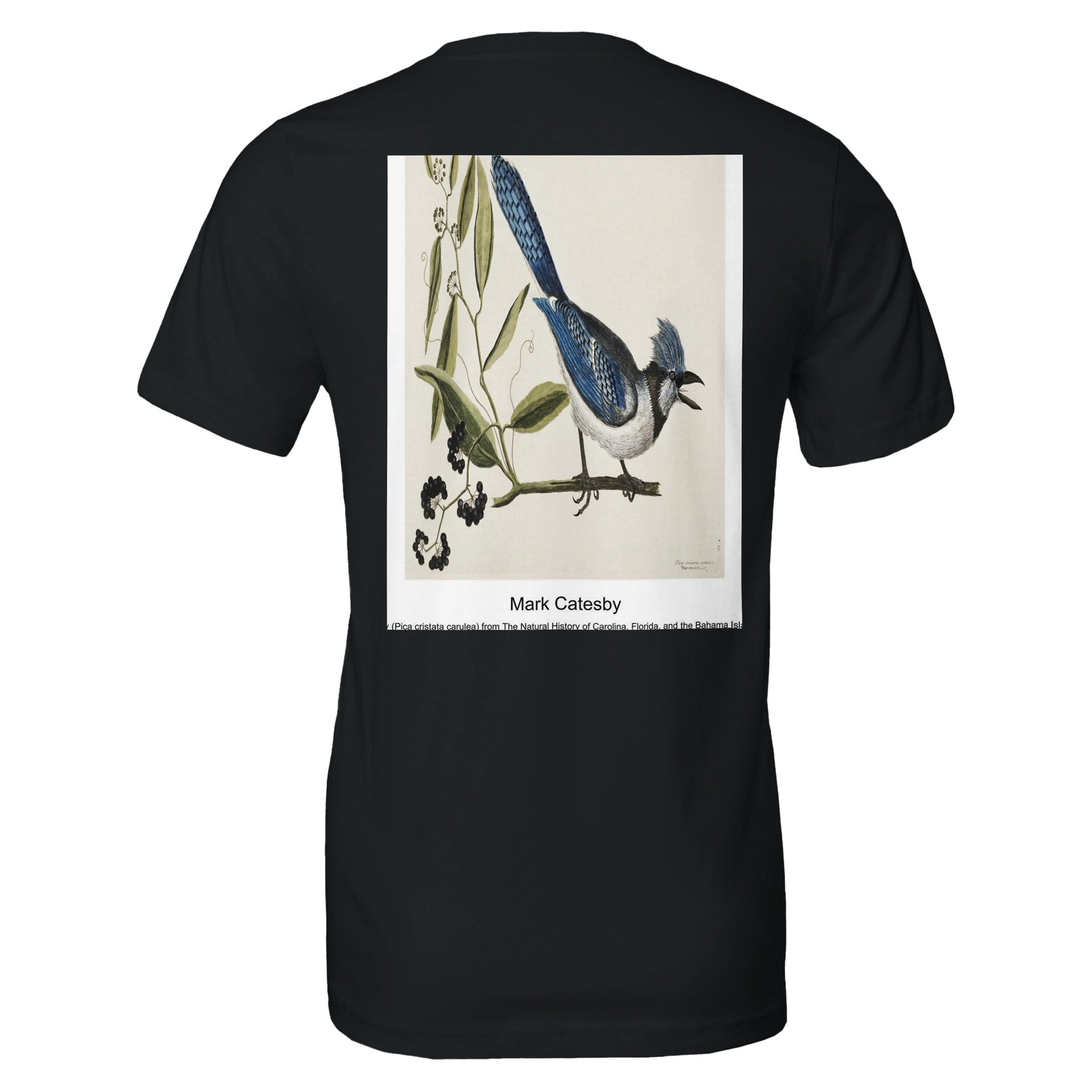 fd3bed44-c8c0-4623-9ec3-60398e88ac51