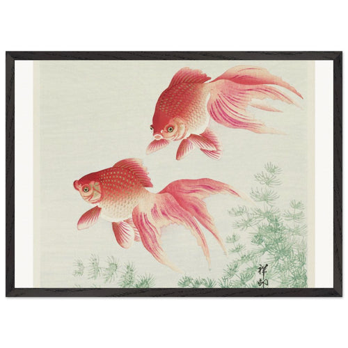 Common and Golden Carp (1935) by Ohara Koson. Archival Print on Museum Quality Matte Paper. Premium Wood Framed Wall Art. Original Aspect Ratio