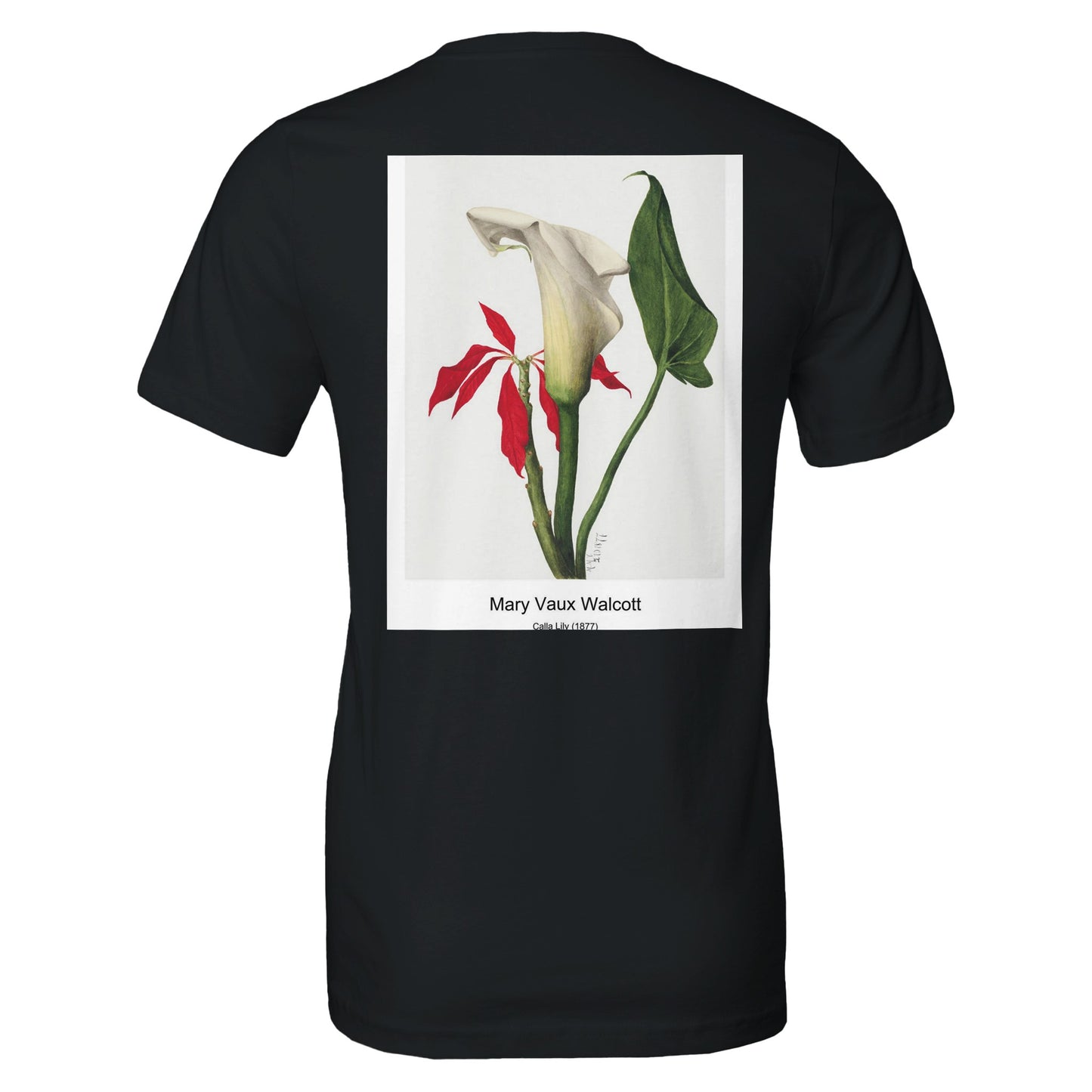 fdc9eb59-a31f-47db-b5d6-acc17e694b83