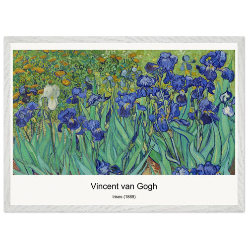Irises (1889) by Vincent van Gogh. Archival Print on Museum Quality Matte Paper. Premium Wood Framed Wall Art. Original Aspect Ratio