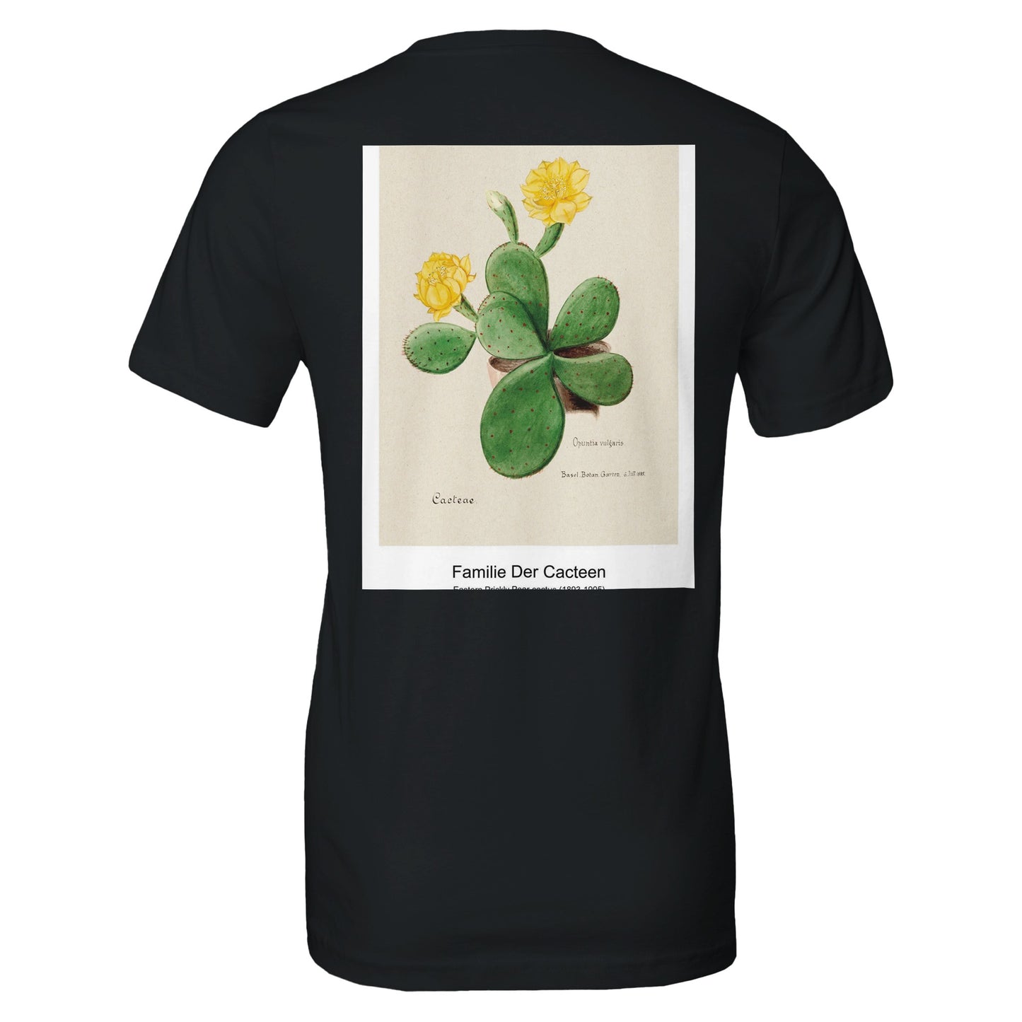 fe4fc0b6-452d-4eec-a193-3f2680c305a2