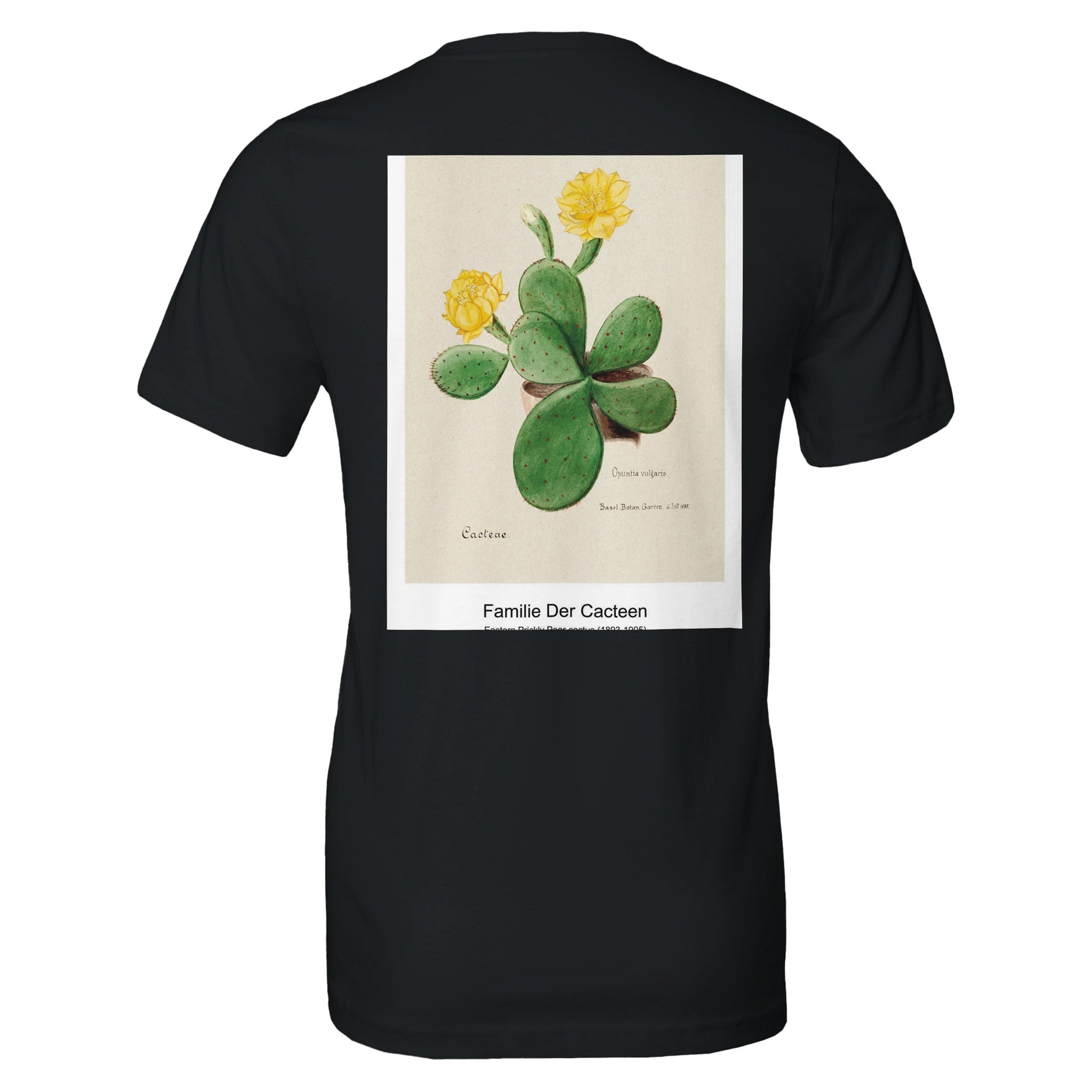 fe4fc0b6-452d-4eec-a193-3f2680c305a2