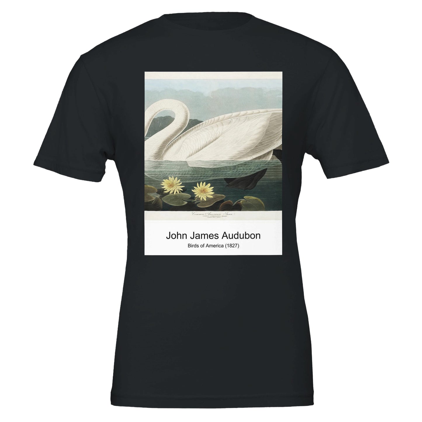 ff11da12-1db0-4a2f-8bd6-8f68b1ccf5ed