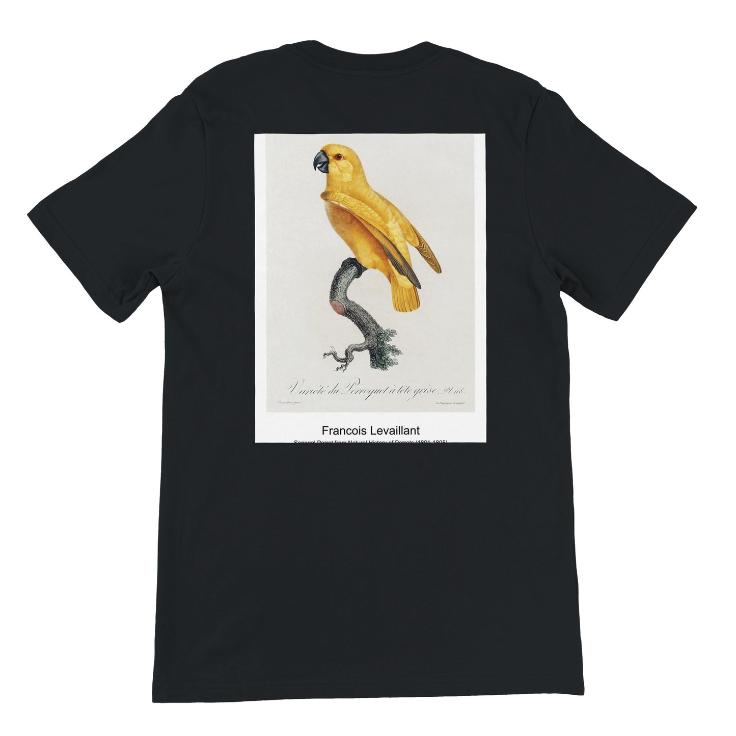 ff249e83-dc61-4112-916b-fdd48aabaf32