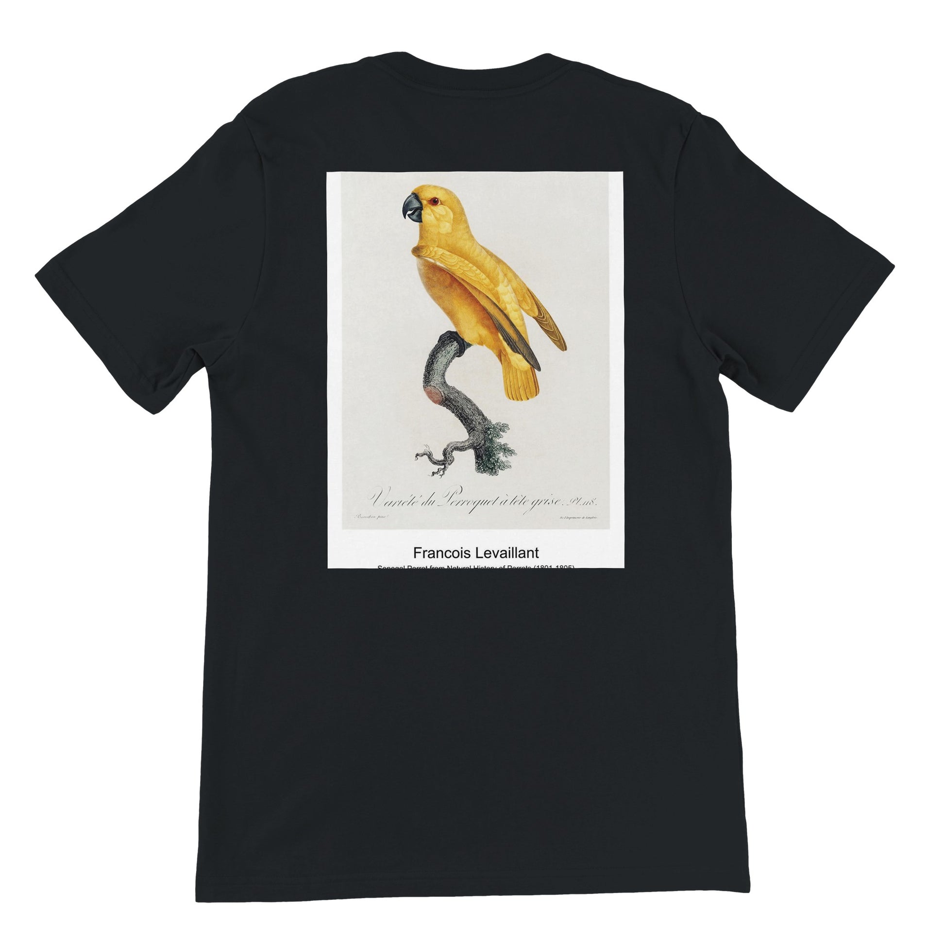 ff249e83-dc61-4112-916b-fdd48aabaf32