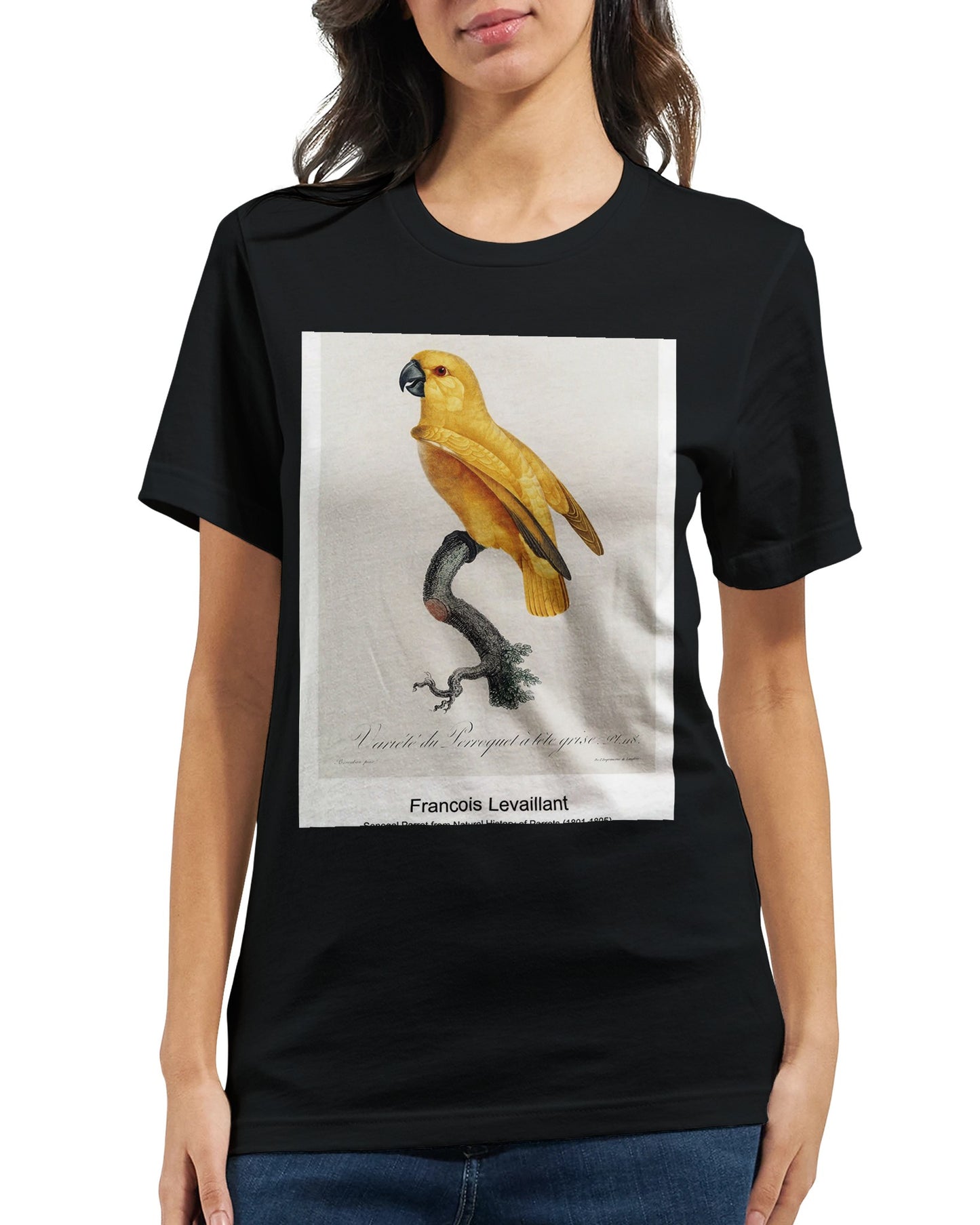 ff364222-0ca7-44fd-8a56-2a5b04f06107