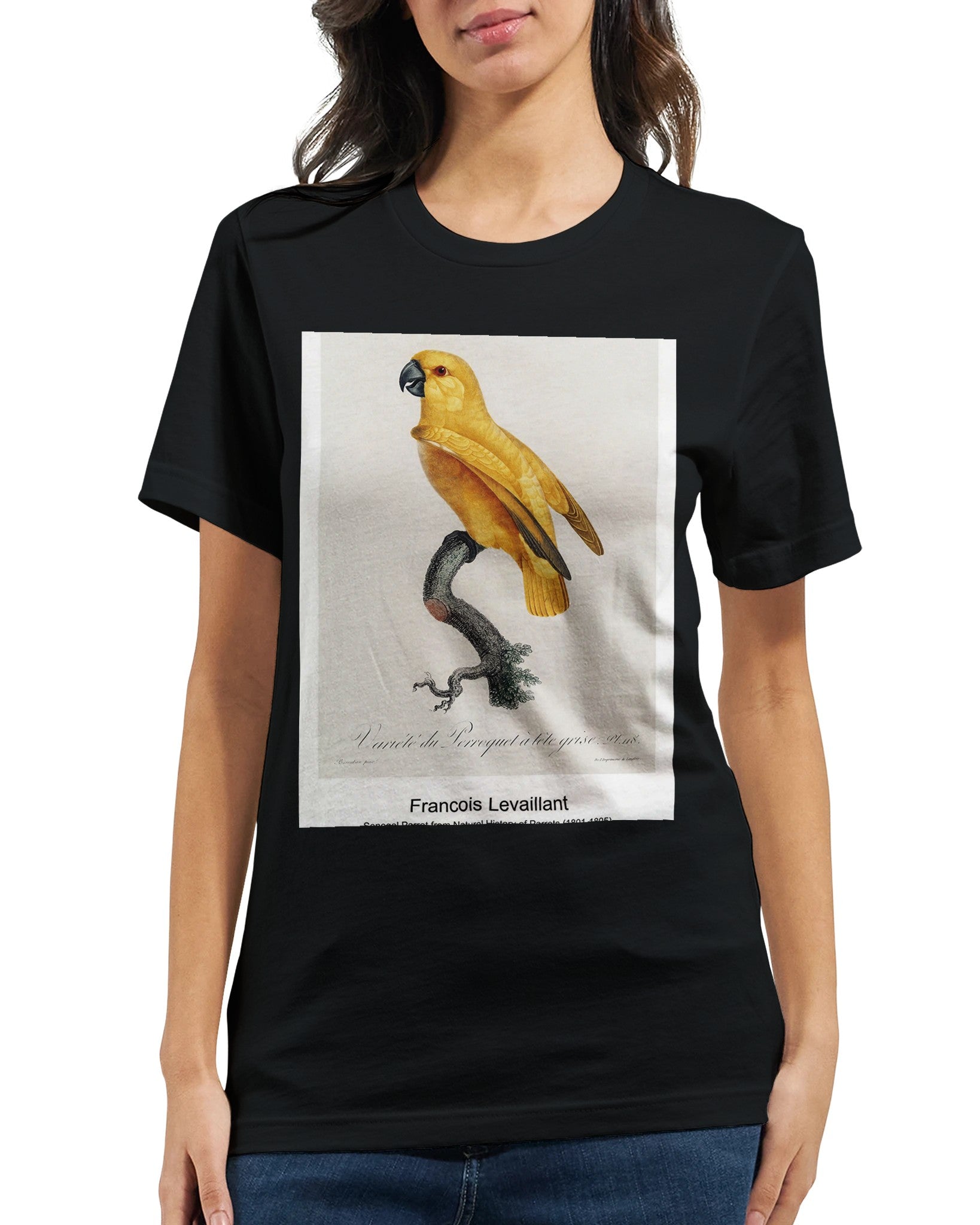 ff364222-0ca7-44fd-8a56-2a5b04f06107