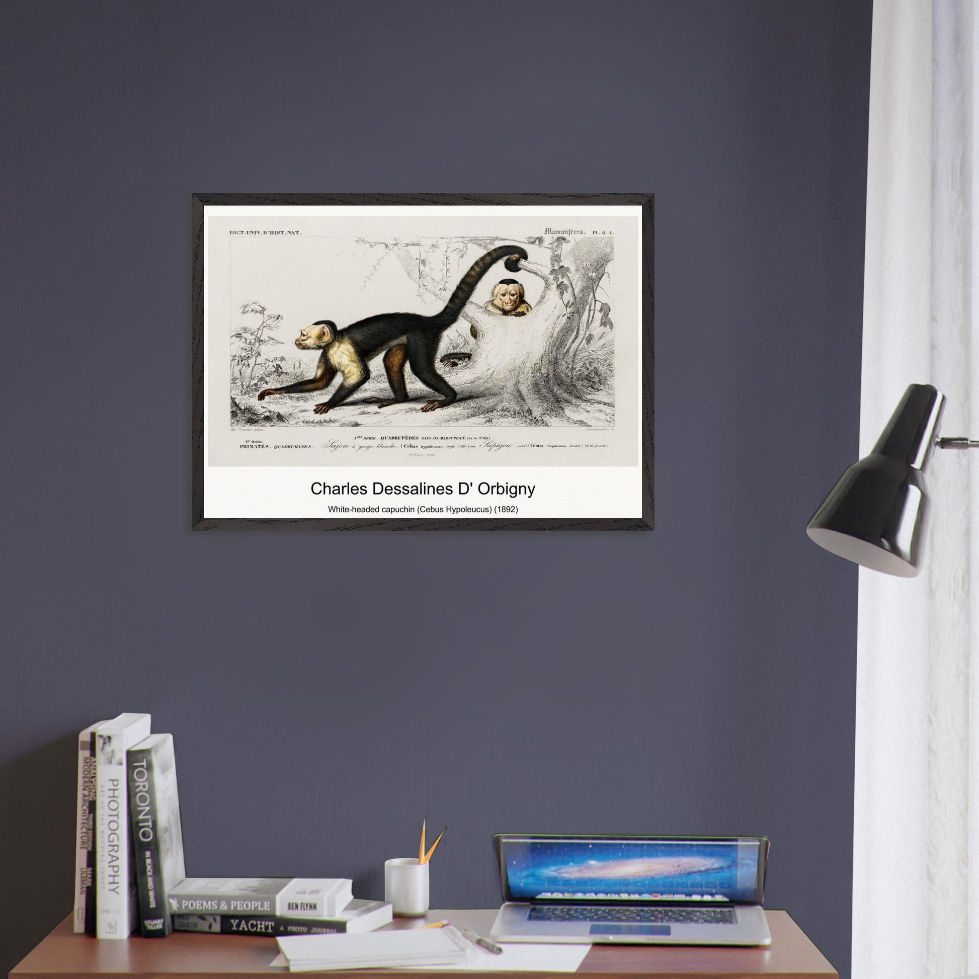 ff687667-9d4d-4a3c-904b-a5daf866b8a9