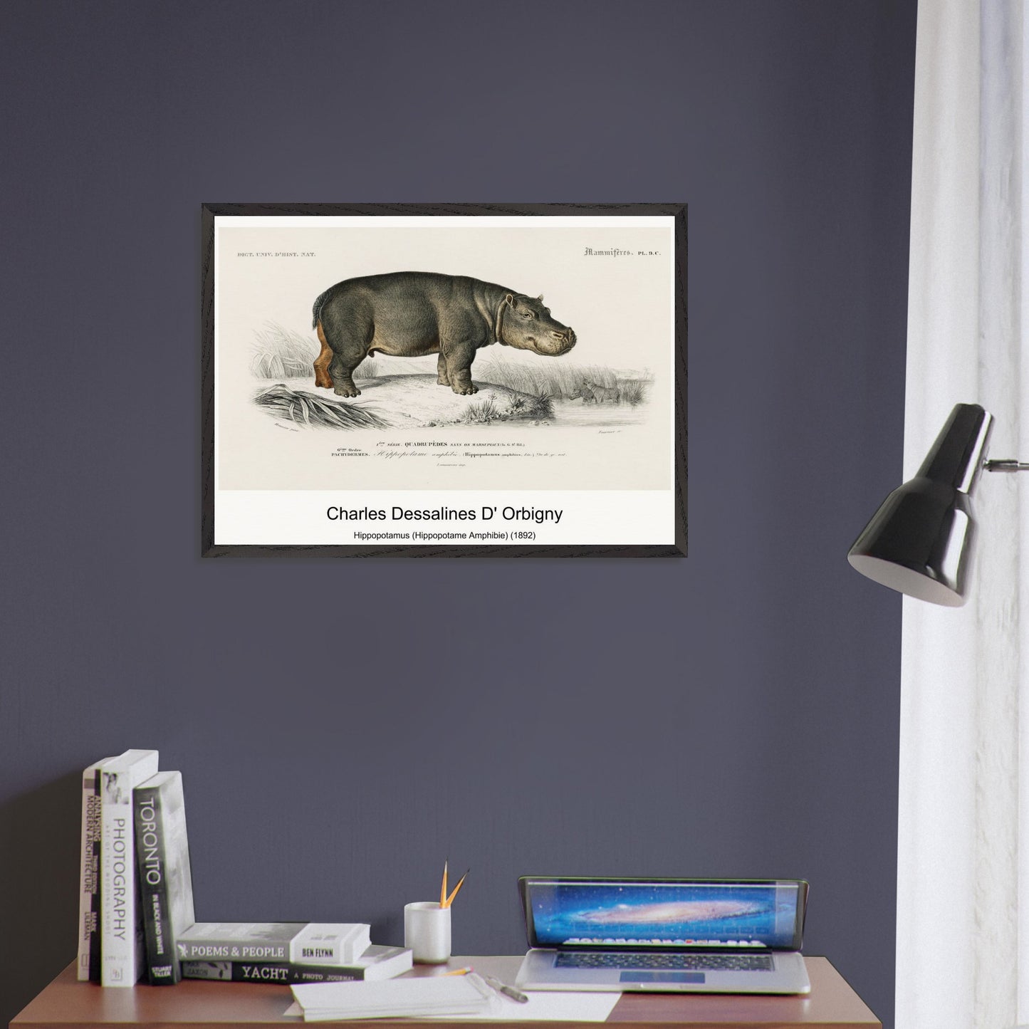 fff338bf-0243-43ae-a738-280d89d7e874